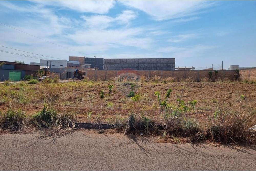 Terreno - Venda - Confresa , Mato Grosso - IMG-20250915-WA0050.jpg - 720641046-5