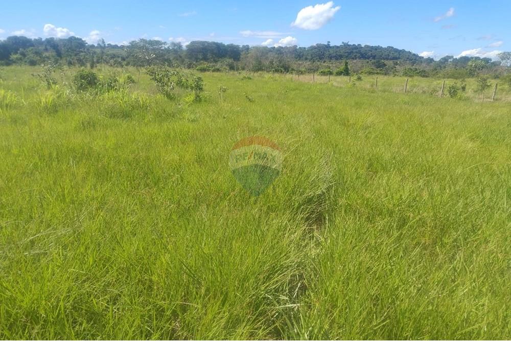 Chácara / Sítio / Fazenda - Venda - Confresa , Mato Grosso - IMG-20250926-WA0039.jpg - 720641046-10