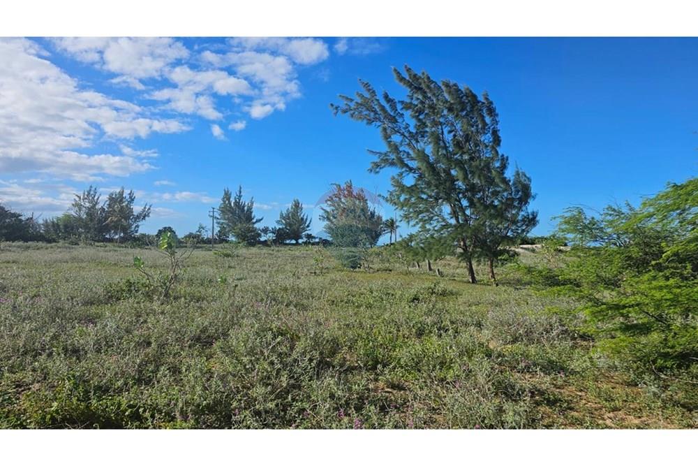 Terreno - Venda - São Miguel do Gostoso , Rio Grande do Norte - WhatsApp Image 2025-07-21 at 06.42.51 (3).jpeg - 720891215-8