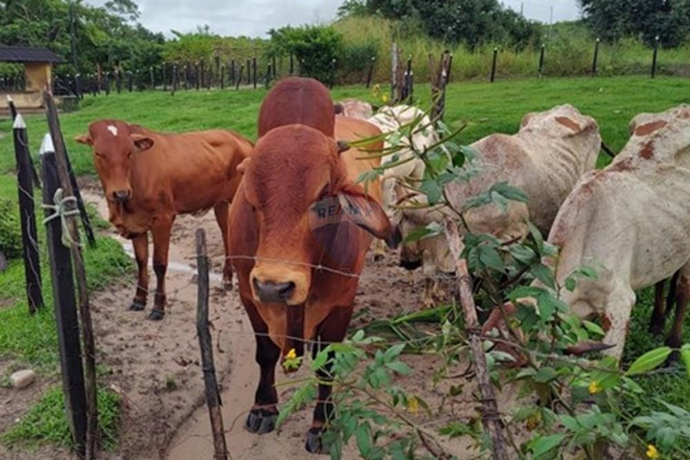 Terreno - Venda - Conde , Paraíba - WhatsApp Image 2025-05-30 at 09.14.45 (2).jpeg - 720871050-18