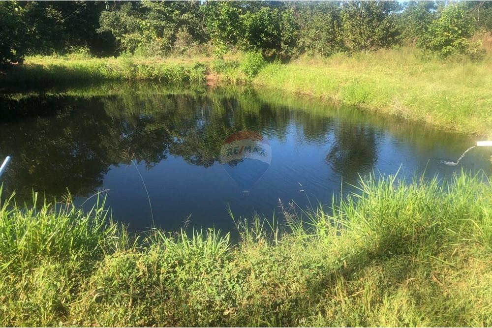 Fazenda - Venda - Guiratinga , Mato Grosso - IMG-20250812-WA0121.jpg - 721981068-2