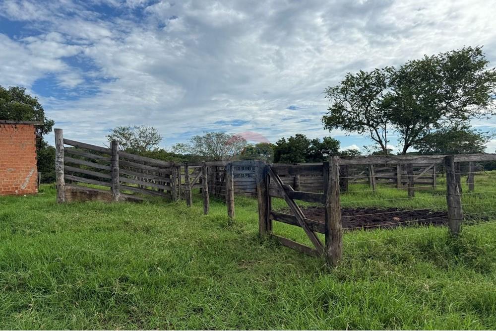 Chácara / Sítio / Fazenda - Venda - São José do Povo , Mato Grosso - IMG-20250407-WA0069.jpg - 720851027-112