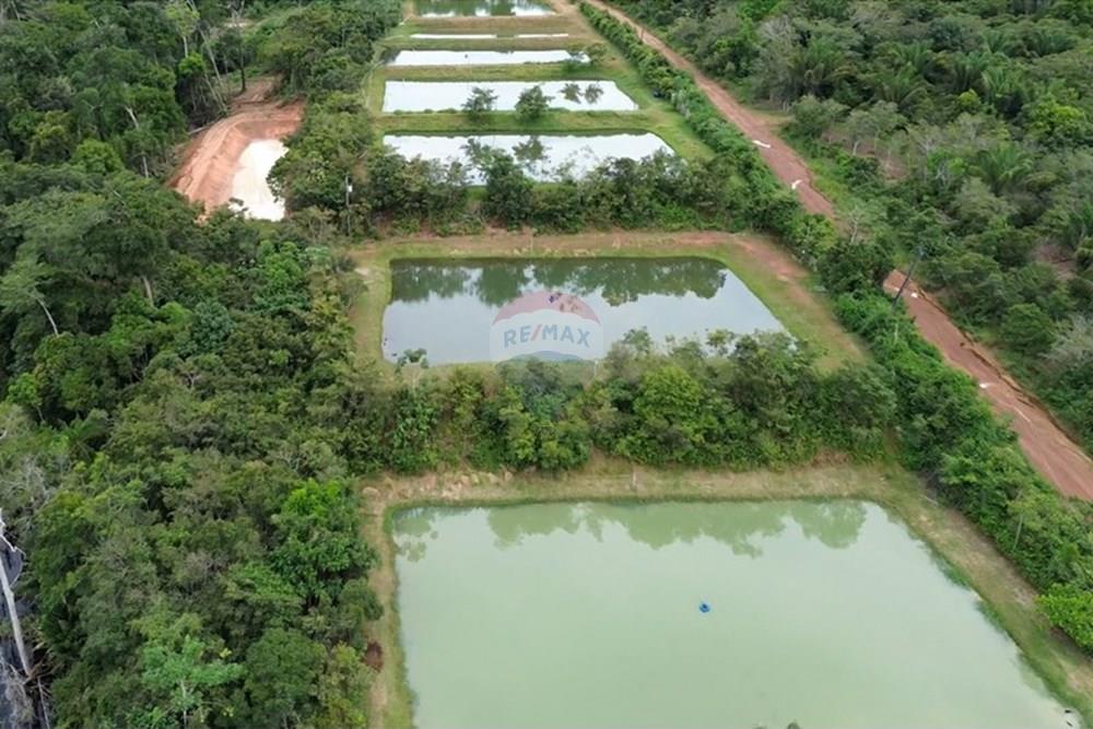Chácara / Sítio / Fazenda - Venda - Novo Airão , Amazonas - Tanques de Peixes7.jpg - 720721055-29