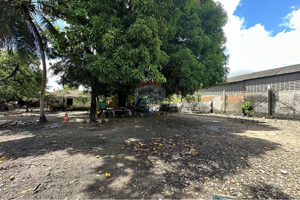 Terreno - Alugar - Fortaleza , Ceará - WhatsApp Image 2025-04-24 at 11.14.01.jpeg - 721621017-82