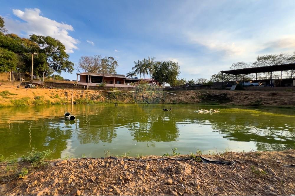 Chácara / Sítio / Fazenda - Venda - Porto Velho , Rondônia - IMG_6077.jpg - 721551039-41