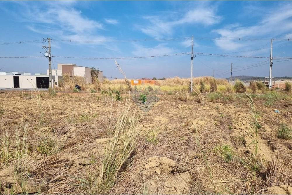 Terreno - Venda - Confresa , Mato Grosso - IMG-20250915-WA0028.jpg - 720641046-6