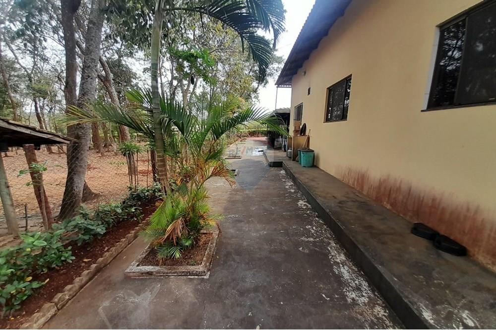 Chácara / Sítio / Fazenda - Venda - Nova Veneza , Goiás - WhatsApp Image 2025-10-08 at 10.28.08 (1).jpeg - 722271015-32