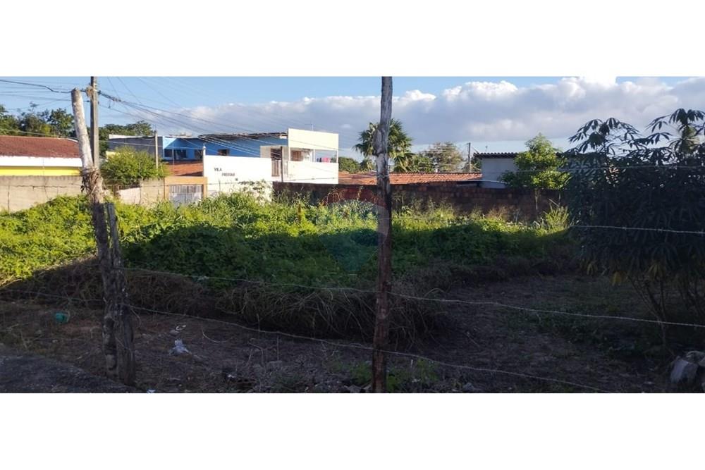 Terreno - Venda - Natal , Rio Grande do Norte - WhatsApp Image 2025-07-27 at 13.54.24.jpeg - 720891003-88