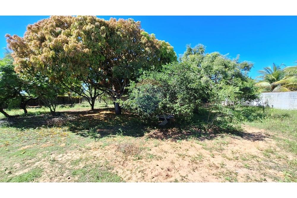 Chácara / Sítio / Fazenda - Venda - Nísia Floresta , Rio Grande do Norte - Imagem do WhatsApp de 2025-04-28 à(s) 09.34.22_e4938064.jpg - 720891106-38