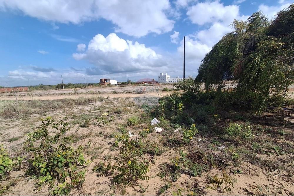 Terreno - Venda - Conde , Paraíba - 9c36c4c5-0d39-4629-a2f9-dc3624a95eed.jpeg - 720871044-39