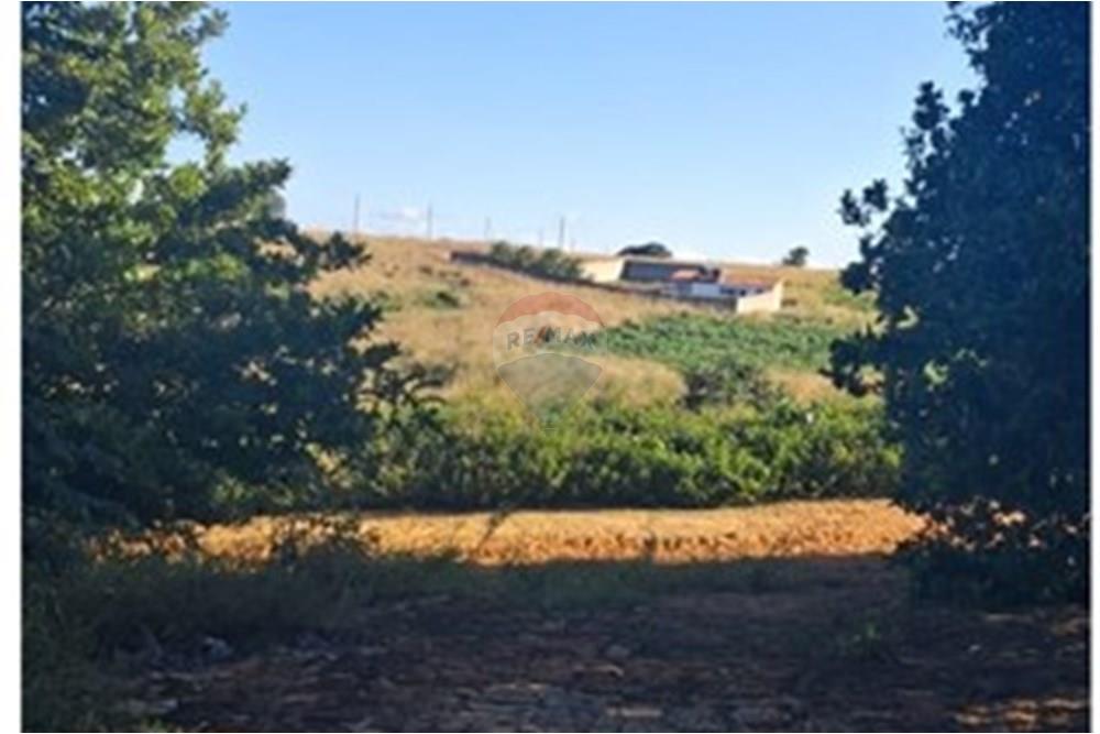 Terreno - Venda - Pitimbu , Paraíba - 73b42ea5-1c4b-46c4-a3b4-6eddc0b1f459.jpeg - 720871044-83