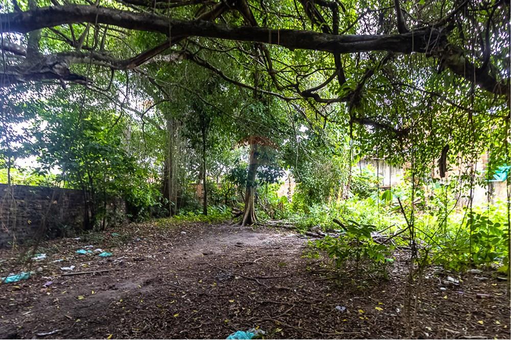 Terreno - Venda - Ananindeua , Pará - 14.jpg - 720921053-12