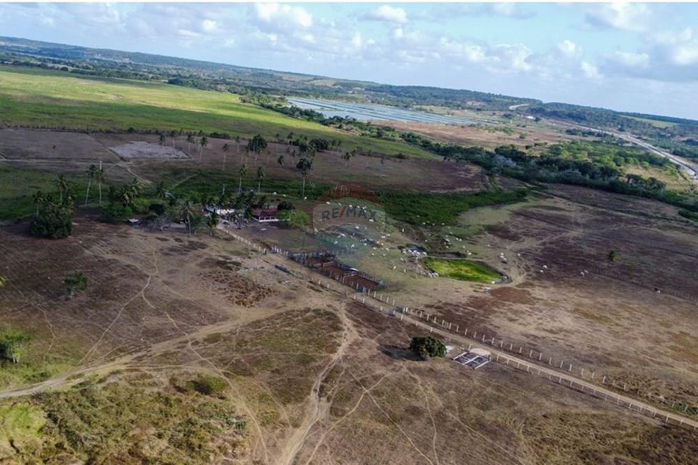 Terreno - Alugar - São José de Mipibu , Rio Grande do Norte - DJI_0062.jpg - 720891134-413