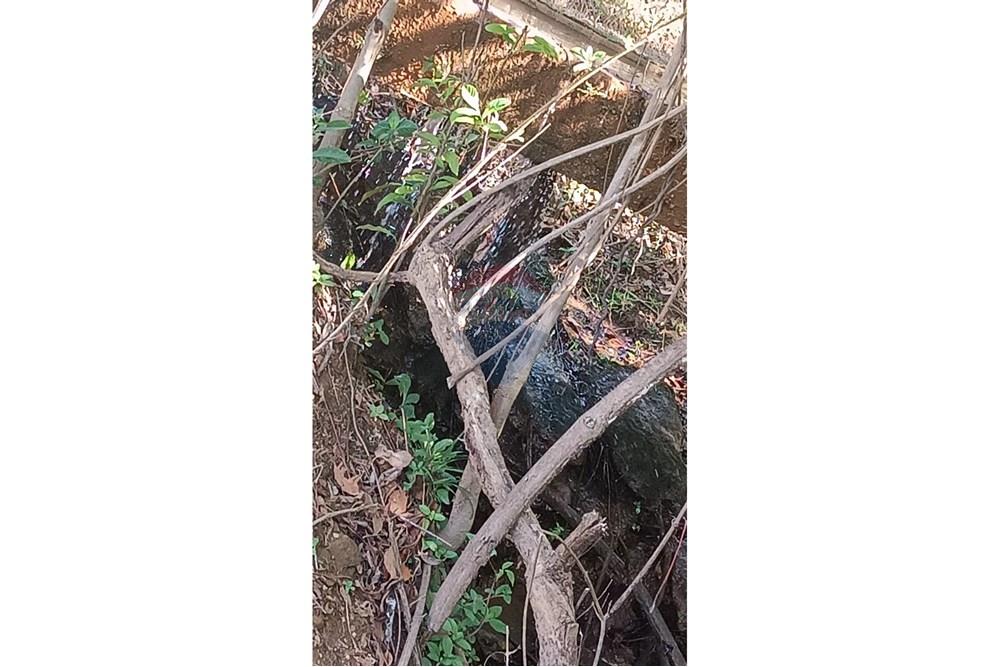 Chácara / Sítio / Fazenda - Venda - Caldas Novas , Goiás - WhatsApp Image 2025-09-30 at 10.03.12 (1).jpeg - 722251025-1