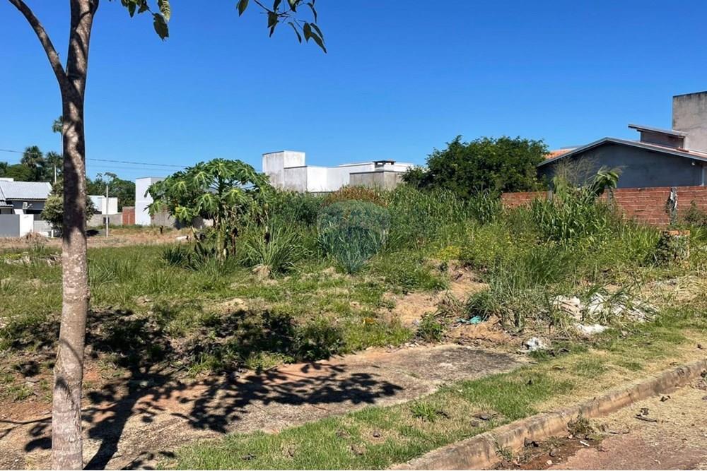 Terreno - Venda - Cacoal , Rondônia - 345.jpg - 722311007-45