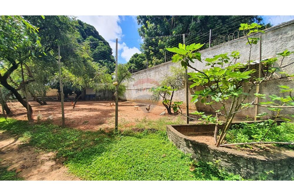 Chácara / Sítio / Fazenda - Venda - Nísia Floresta , Rio Grande do Norte - 23.jpg - 720891106-52