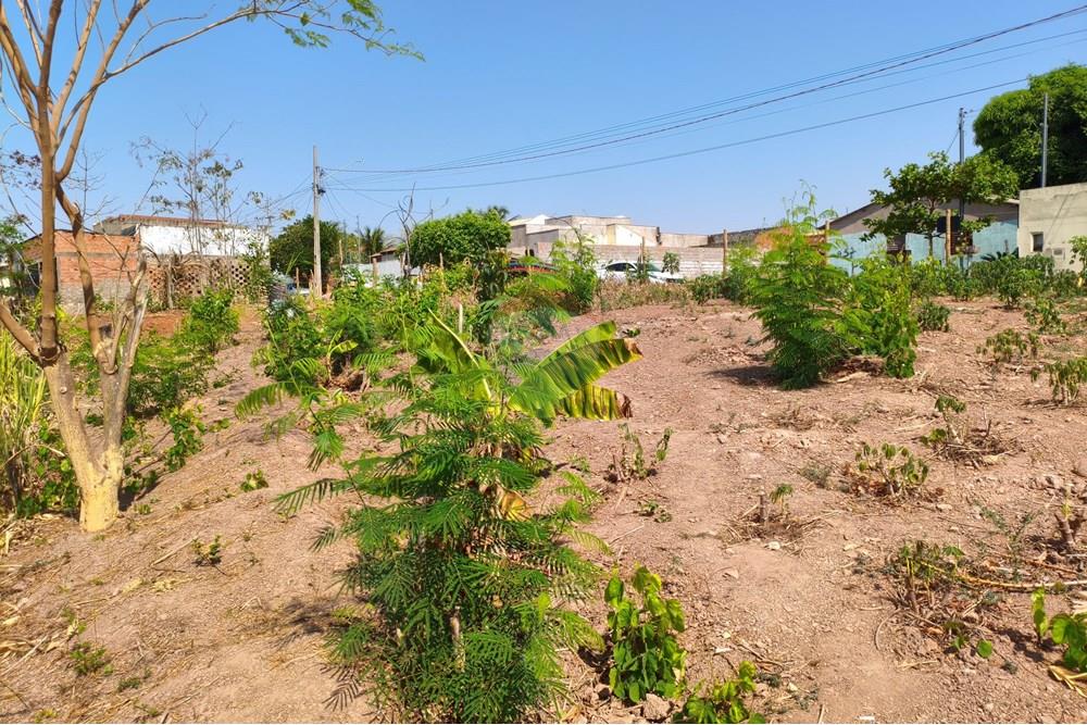 Terreno - Venda - Rondonópolis , Mato Grosso - IMG_20250912_092131.jpg - 722261012-13