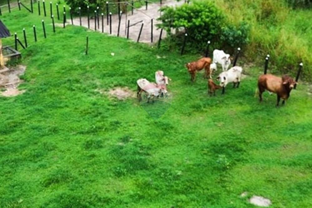 Terreno - Venda - Conde , Paraíba - WhatsApp Image 2025-05-30 at 09.14.45 (3).jpeg - 720871050-18