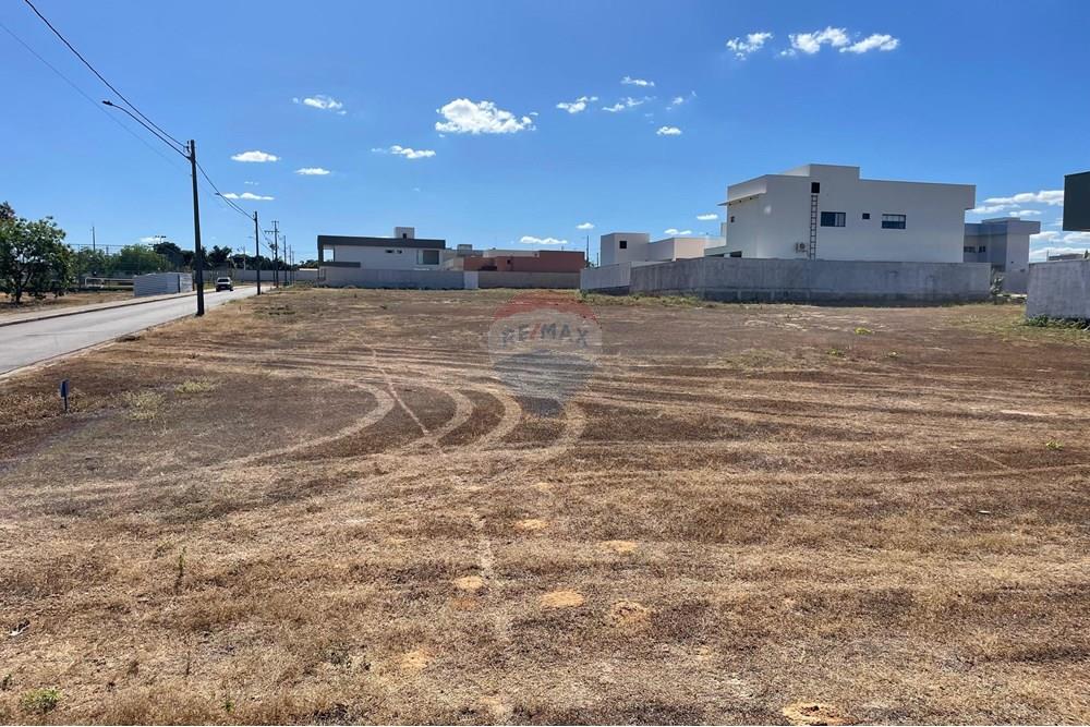 Terreno - Venda - Araguaína , Tocantins - WhatsApp Image 2025-07-18 at 11.45.17.jpeg - 720991028-16