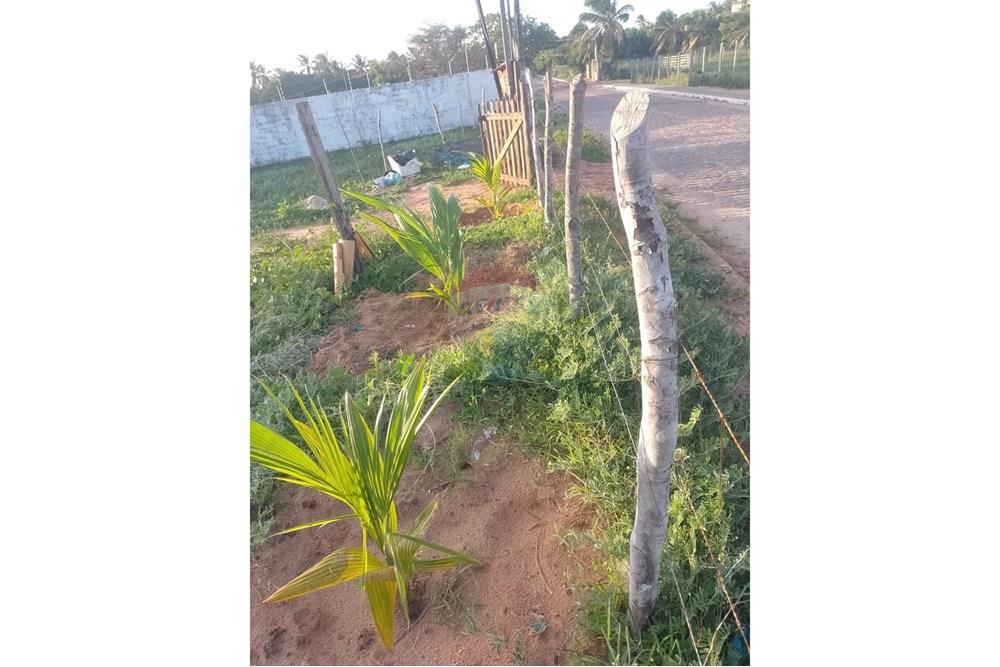 Terreno - Venda - Maxaranguape , Rio Grande do Norte - IMG-20250618-WA0070.jpg - 720891036-161