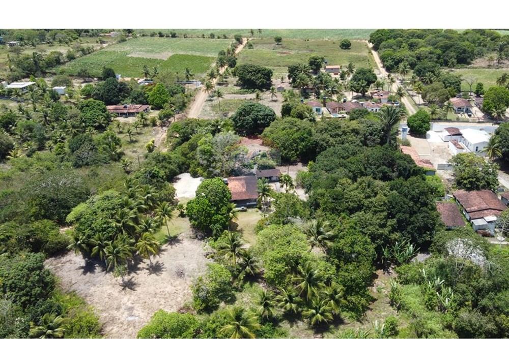 Chácara / Sítio / Fazenda - Venda - Conde , Paraíba - DJI_0275.JPG - 720871004-216