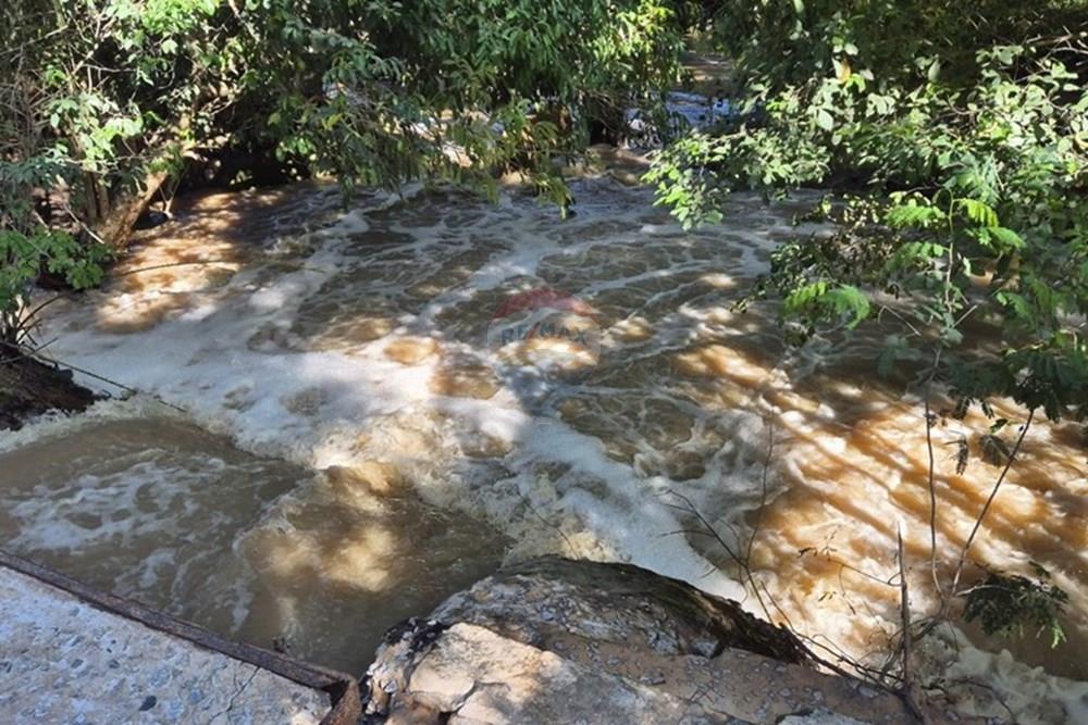 Chácara / Sítio / Fazenda - Venda - Mamanguape , Paraíba - 20250207_152618.jpg - 722011055-45