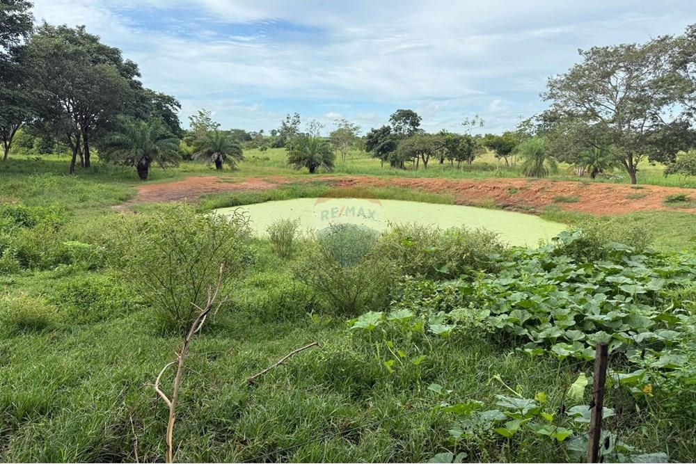 Chácara / Sítio / Fazenda - Venda - São José do Povo , Mato Grosso - IMG-20250407-WA0076.jpg - 720851027-112
