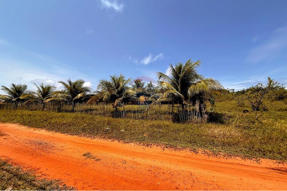 Terreno - Venda - Touros , Rio Grande do Norte - WhatsApp Image 2025-09-23 at 18.37.53.jpeg - 720891024-232