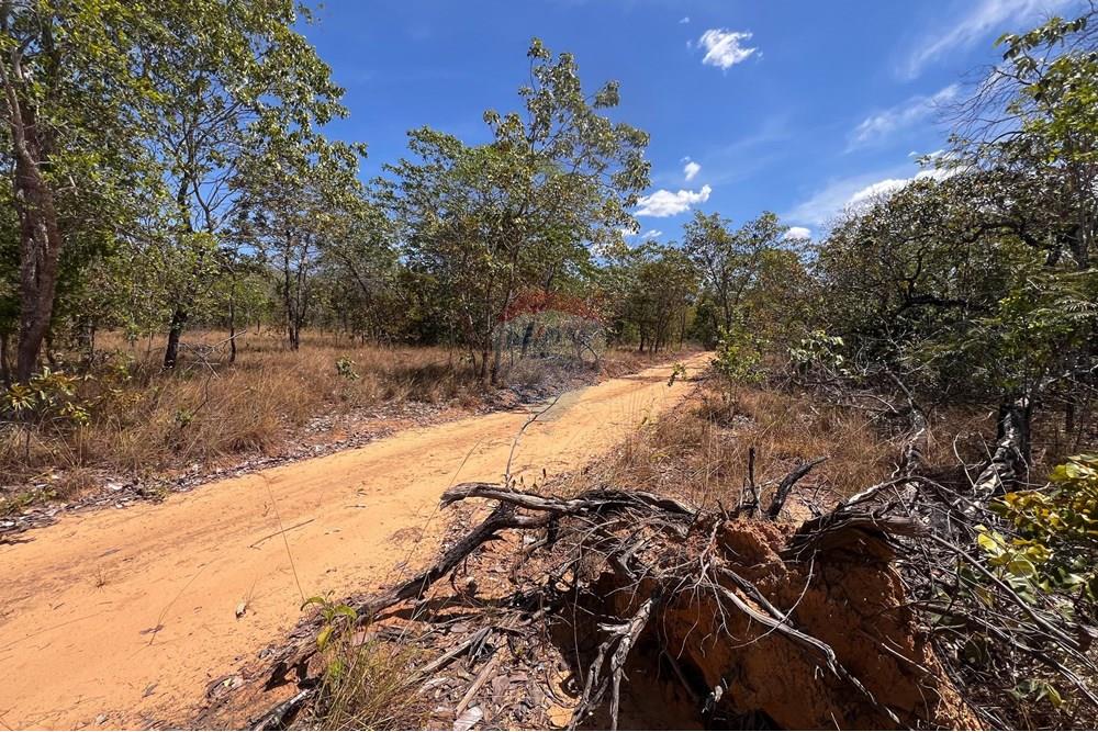 Agro - Venda - Carolina , Maranhão - WhatsApp Image 2025-08-07 at 12.38.55.jpeg - 720991042-3
