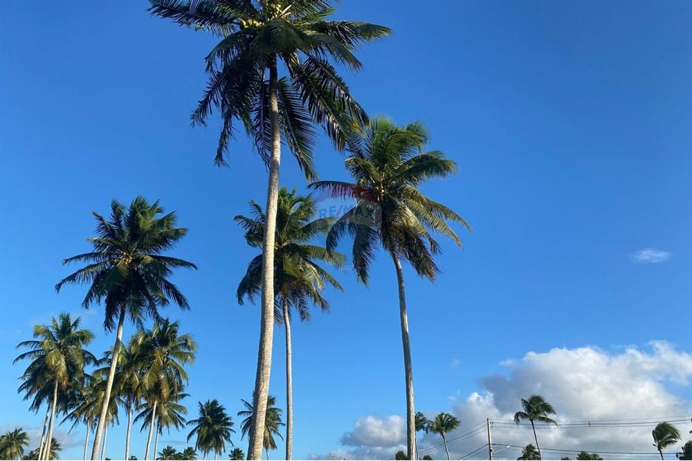 Terreno - Venda - Parnamirim , Rio Grande do Norte - d2eeb26d-03ef-4809-a2c8-02994b7d4aad.jpg - 720891155-325