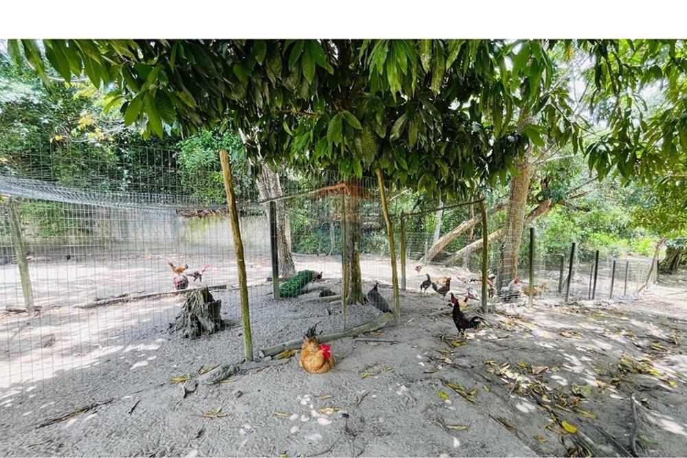 Terreno - Venda - Conde , Paraíba - WhatsApp Image 2025-09-24 at 13.36.55 (1).jpeg - 720871004-211