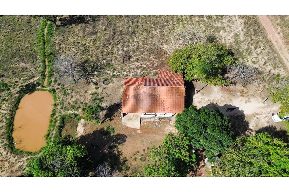 Chácara / Sítio / Fazenda - Venda - Caldas Novas , Goiás - IMG_6958.JPG - 722251025-1