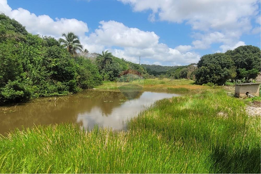Chácara / Sítio / Fazenda - Venda - Conde , Paraíba - 20240921_094410.jpg - 722011055-34