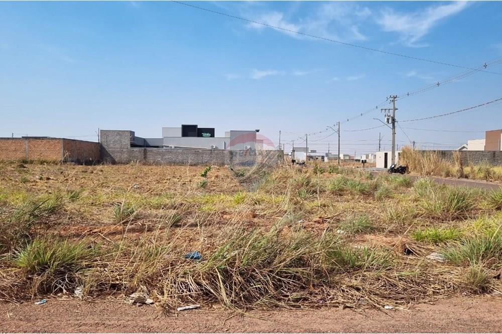 Terreno - Venda - Confresa , Mato Grosso - IMG-20250915-WA0053.jpg - 720641046-5