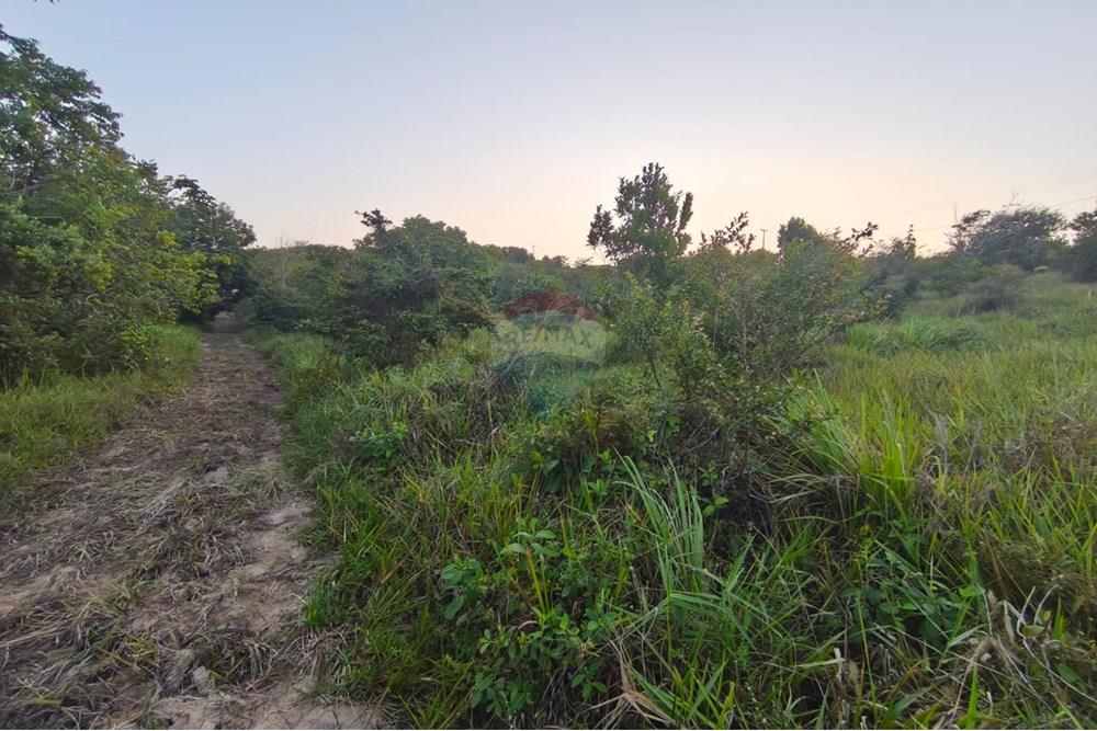 Terreno - Venda - Pitimbu , Paraíba - c38cfc51-da01-41c3-9623-20528a8539e1.jpg - 720871056-19