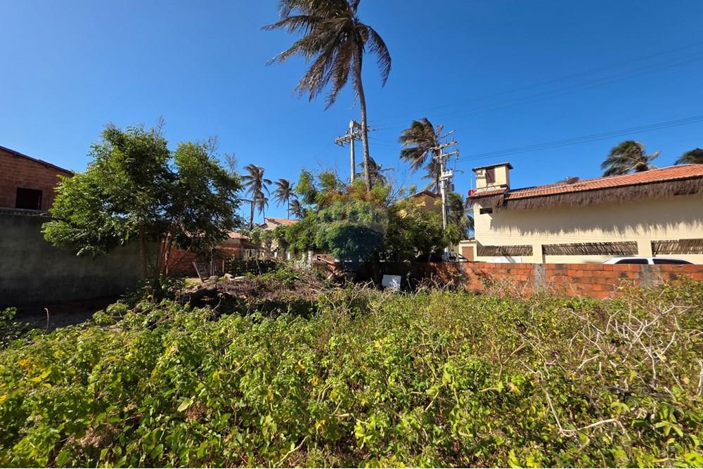 Terreno - Venda - Trairi , Ceará - 1000193108.jpg - 722341001-100