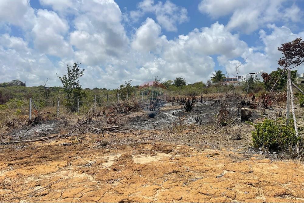 Terreno - Venda - Conde , Paraíba - WhatsApp Image 2025-01-02 at 15.58.04.jpeg - 720871004-174