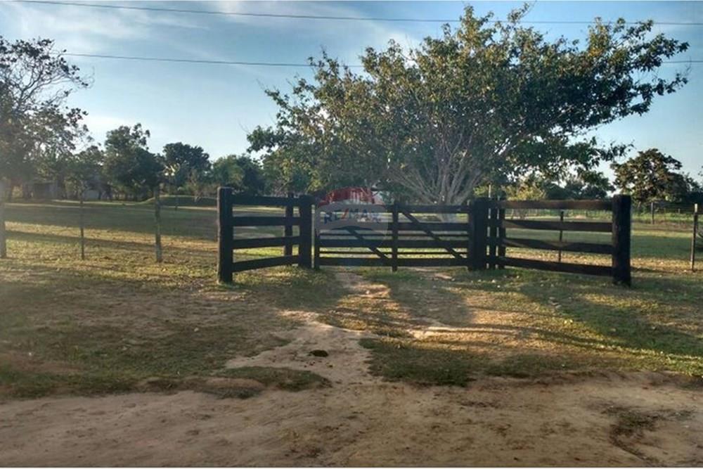 Chácara / Sítio / Fazenda - Venda - Rondonópolis , Mato Grosso - dfee2de3-7167-4c01-a151-6e6fc7635315.jpg - 720851044-21