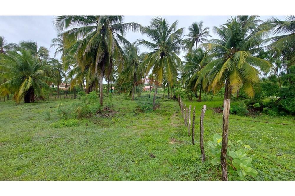 Casa - Venda - Itarema , Ceará - WhatsApp Image 2025-03-10 at 20.58.30 (2).jpeg - 720321029-403