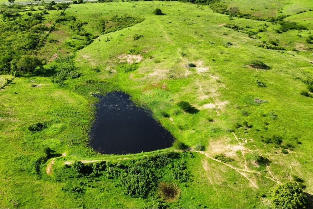 Chácara / Sítio / Fazenda - Venda - Riachão do Bacamarte , Paraíba - dji_fly_20250215_150812_486_1739642946935_photo_optimized.jpg - 722011055-39