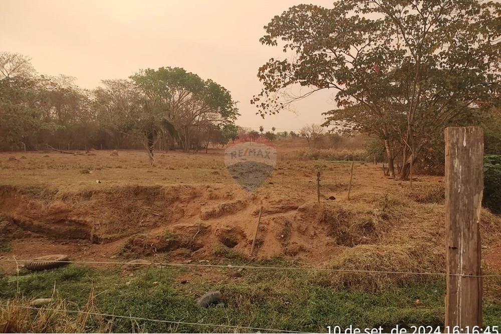 Chácara / Sítio / Fazenda - Venda - Rondonópolis , Mato Grosso - WhatsApp Image 2024-10-29 at 09.11.15 (2).jpeg - 720771057-4