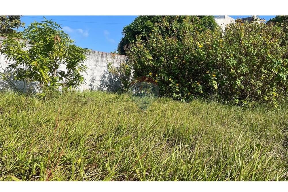 Terreno - Venda - Conde , Paraíba - WhatsApp Image 2025-10-16 at 14.18.37 (2).jpeg - 720871004-214