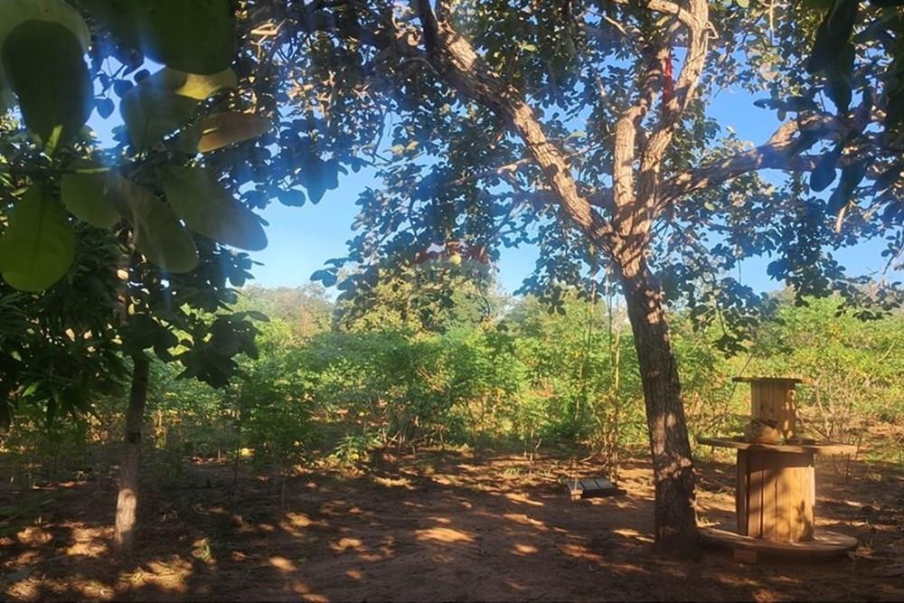 Chácara / Sítio / Fazenda - Venda - Rondonópolis , Mato Grosso - Imagem do WhatsApp de 2025-08-25 à(s) 16.49.18_d7c7cdf6.jpg - 722261004-17