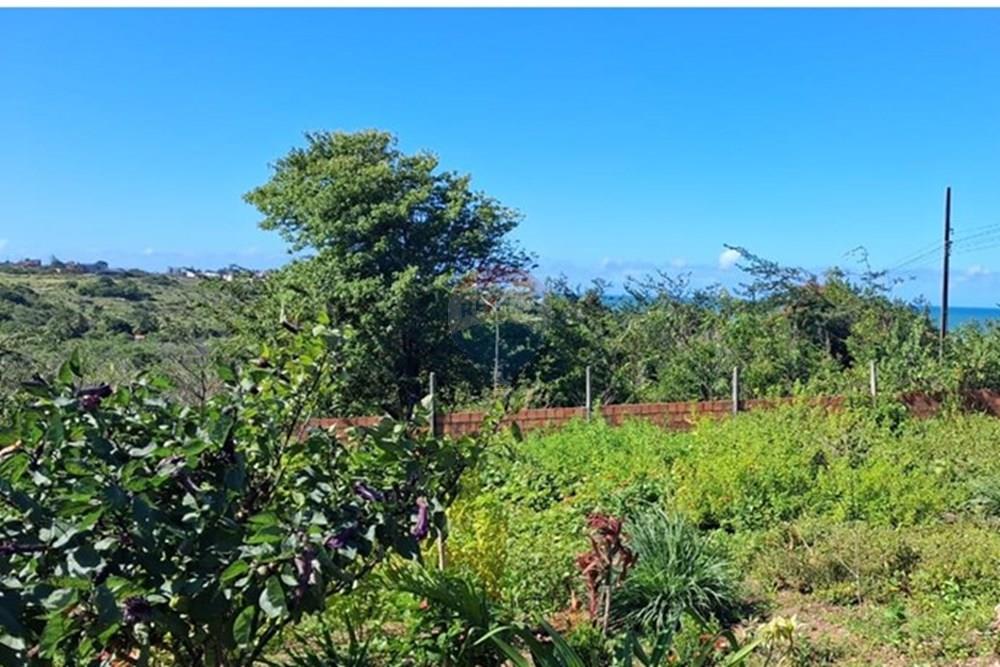 Terreno - Venda - Pitimbu , Paraíba - a6820853-8d2d-4148-b77d-4b63883f3abc.jpeg - 720871044-90