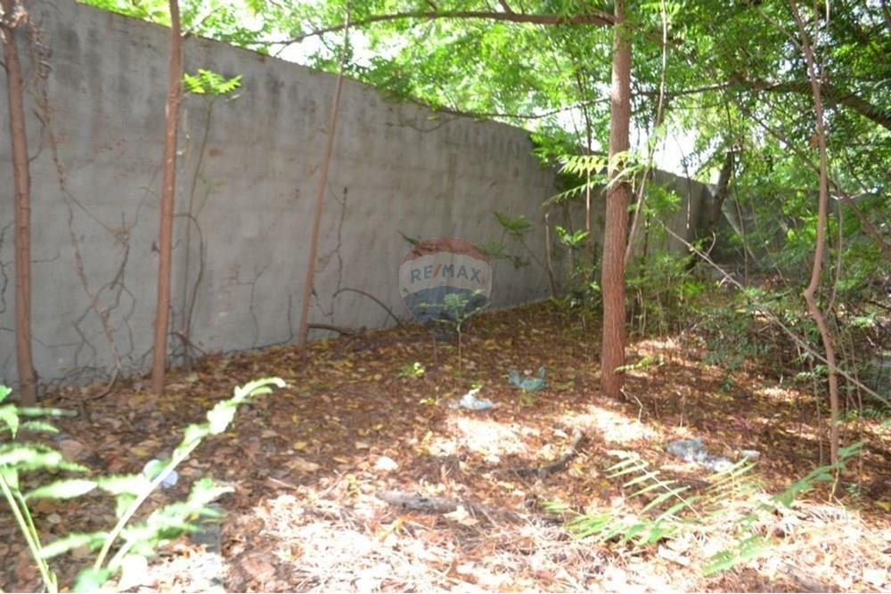 Terreno - Venda - Fortaleza , Ceará - WhatsApp Image 2025-10-01 at 09.56.36.jpeg - 720971021-111