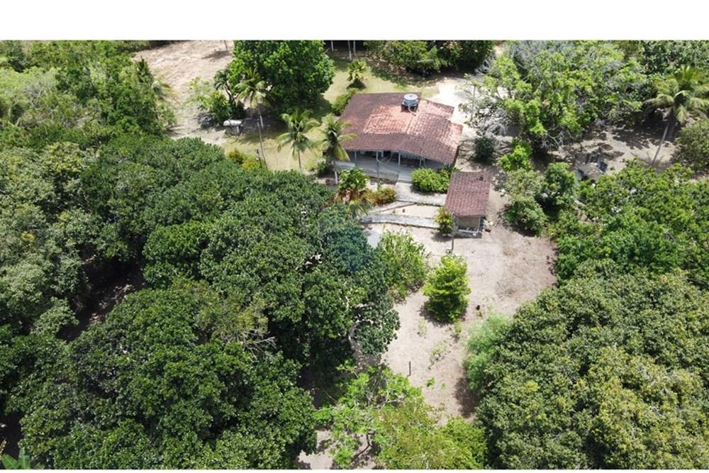 Chácara / Sítio / Fazenda - Venda - Conde , Paraíba - DJI_0286.JPG - 720871004-216