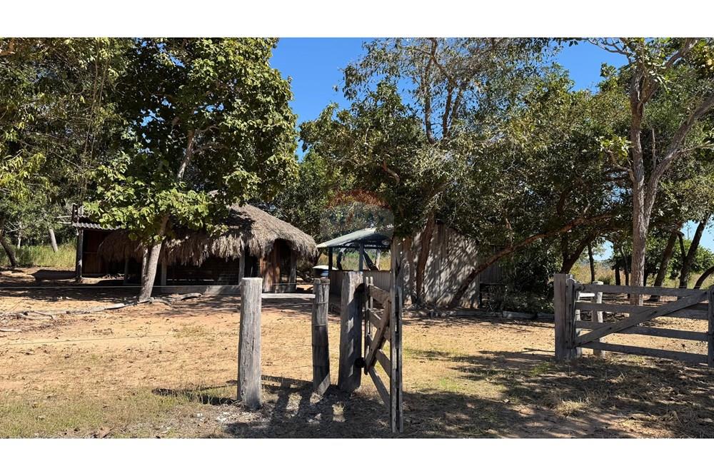 Fazenda - Venda - Santo Antônio do Leverger , Mato Grosso - 23295e0d-9115-4b6d-b5a4-b6c4a1224ac9.jpeg - 720611035-41