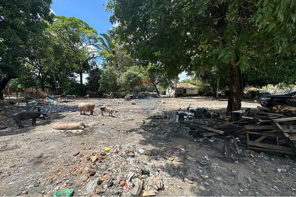 Terreno - Alugar - Fortaleza , Ceará - WhatsApp Image 2025-04-24 at 11.14.05(1).jpeg - 721621017-82