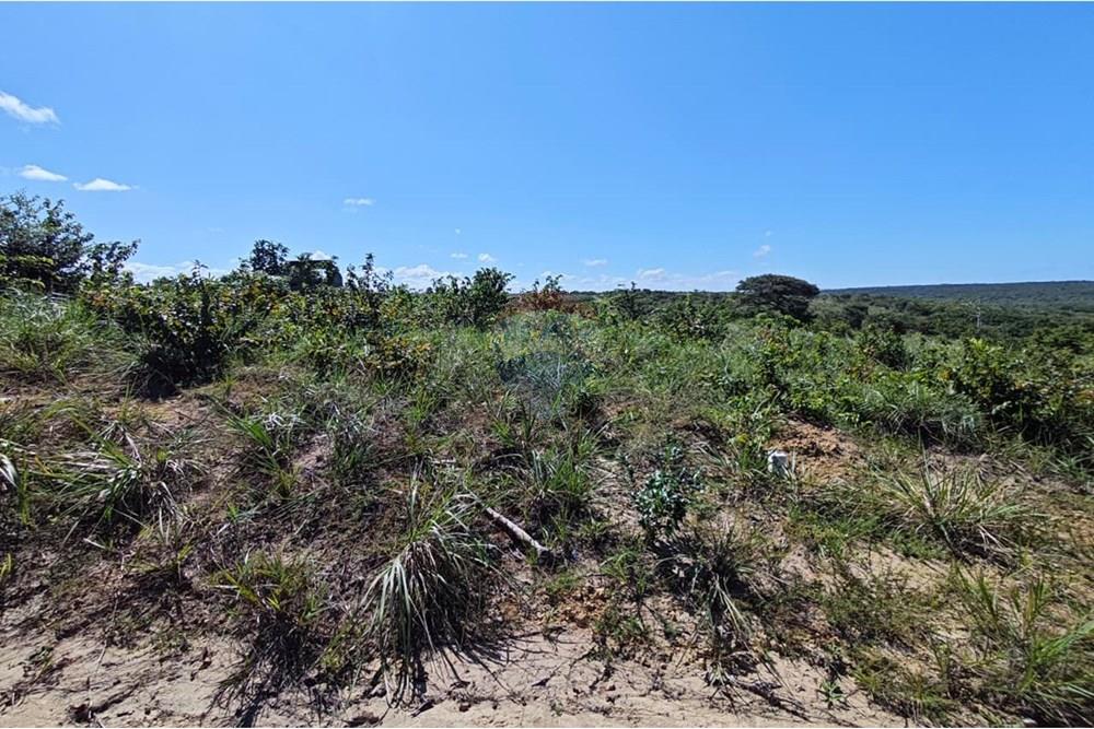 Terreno - Venda - Pitimbu , Paraíba - WhatsApp Image 2025-08-28 at 18.48.42.jpeg - 720871009-188