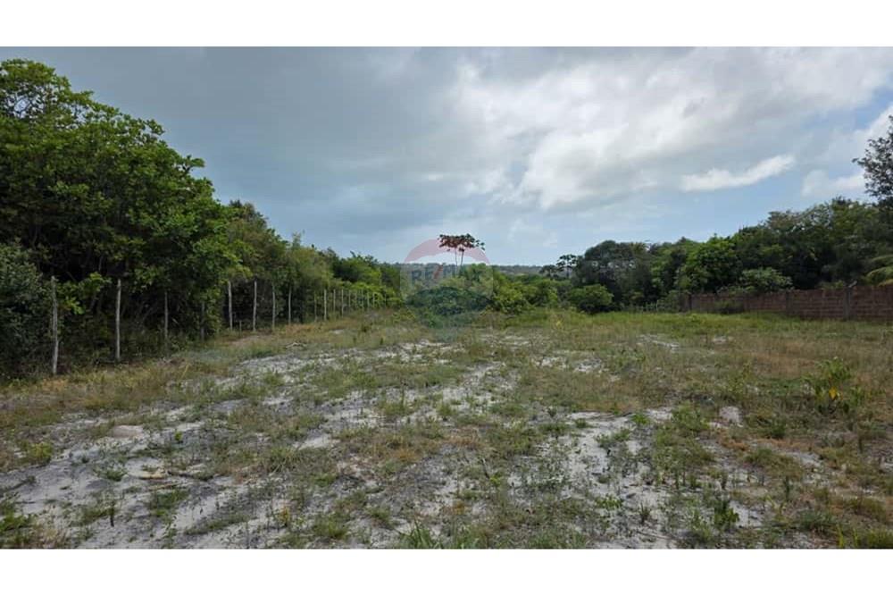 Chácara / Sítio / Fazenda - Venda - Conde , Paraíba - a991e7cf-2b7e-40ae-adbb-10a852362728.jpg - 720871061-12